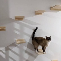 Kedi Oyun Parkuru Ahşap 6 Parça