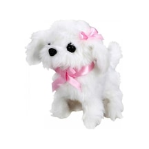 Sunman Sevimli Köpek Maltese