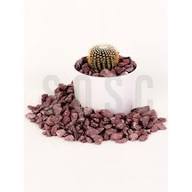 Bordo Çakıl Taşı Dolomit Taşı Bahçe Süsü Akvaryum Taşı Dere Çakıl Taşı 2-3 Cm 3 Kg Açık Gold