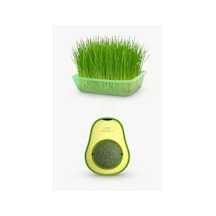 Doğal Kedi Çimi Seti Ve Avokado Catnip Oyuncağı, 2'li Paket