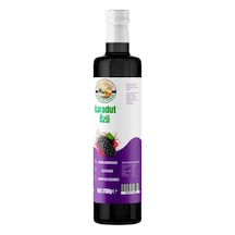 Karadut Özü 700 Gr Diğer