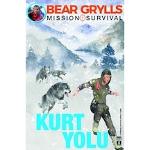Kurt Yolu N11.34067