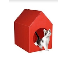 Kedi Evi Kulübesi Yuvası