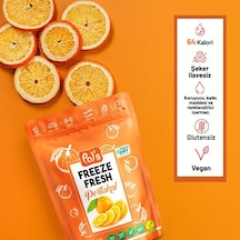 Pol S Freeze Fresh Dondurularak Kurutulmuş Portakal 20 Gr 20 G