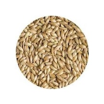 Aspur Sade Kanarya Yemi 1 KG