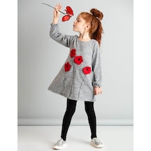 Denokids Mushi Poppy Elbise Çok Renkli