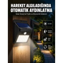 Çok Renkli