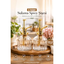 Perotti 15733 2li Pembe Vintage Cam Bitki Sulama Şişesi Sulama Ka