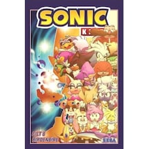 Kirpi Sonic Cit 8 Birdenbire / Ian Flynn