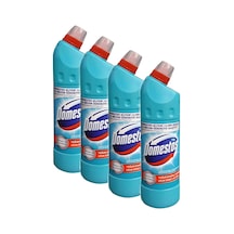 Okaliptüs Ferahlığı Çamaşır Suyu 750 Ml , 4 Adet Diğer