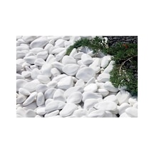 Beyaz Dolomit 10 Kg 6-10 Cm Taş Dekoratif Taş Dere Taşı Bahçe Süs Taşı