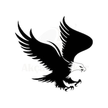 Kartal Oto-motor-laptop-duvar-dekor 20 X 18 Cm