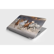 Laptop Sticker Notebook Pc Kaplama Etiketi Atlar