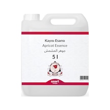 Kayısı Esansı 5 Litre