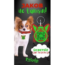 Petjoo 8.Jakob Yeşil-Kırmızı Qr'lı Köpek Künyesi