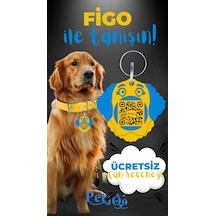 Petjoo 27.Figo Mavi-Sarı Qr'lı Köpek Künyesi