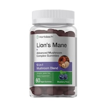 Lion's Mane 10 İn 1 Mushroom Complex Blueberry 60 Capsules