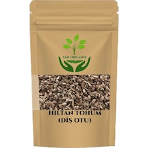 Hıltan Tohumu Diş Otu Visnaga Daucoides 250gr
