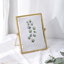 Sones Metal Cam Fotoğraf Çerçevesi Bitki Örneği Tutucu, Boyut: 6 İnç Altın Braket