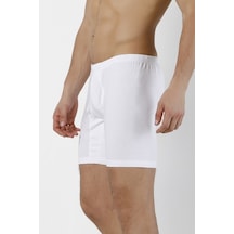 Doremi Erkek Arjantin Boxer 001