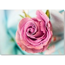 Cakasepetim Dalında Pembe Gül Ahşap Mdf Tablo