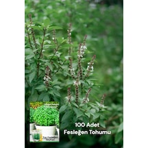 100 Adet Fesleğen Tohumu- Yoğun Aroma&yeşil Yapraklar 1