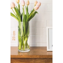 Silindir Cam Vazo Yükseklik : 23 Cm Genişlik 9 Cm