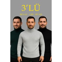 Çok Renkli