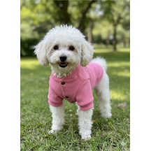 Kedi - Köpek Kaşkorse Esnek Mevsimlik Ceket - Mont - Yağmurluk - Yelek - Kıyafet