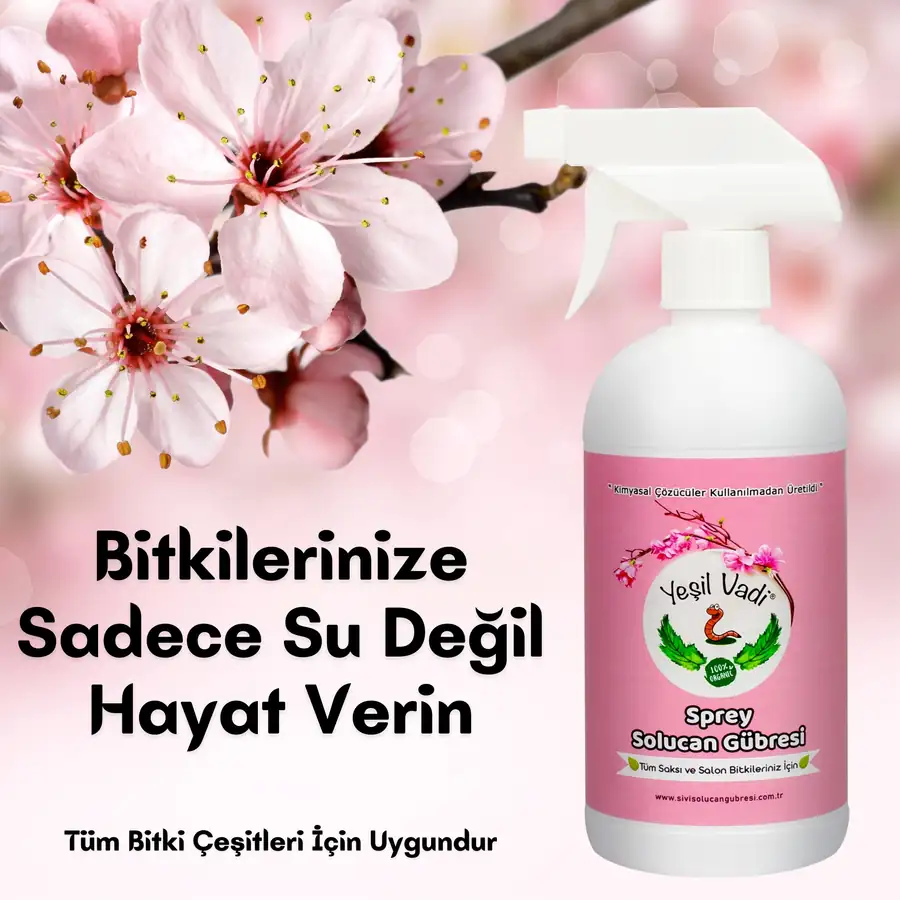 500 ML