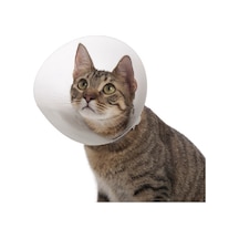 Kedi ve Köpek için Yakalık 75 MM