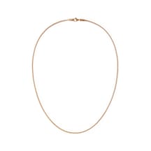 Daniel Wellington Dw00401103 Kadın Kolye Diğer