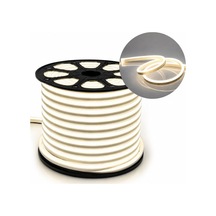 Pm-5289 Silikon Kaplama 12 Volt 100 Metre Günışığı 4000k Neon Led Şerit Aydınlatma Adaptor Sec-Kumanda-Metraj Seç Yok-Kumanda-Yok