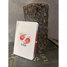 Balık Burcu Tasarım Defter
