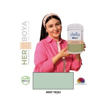 Stella Serisi Yeni Nesil Yüzey Dönüşüm Boyası - Mint Yeşili Diğer