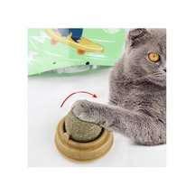 Doğal Catnipli Yenilebilir Kedi Nanesi Otu Oyun Topu Oyuncağı Cat Mint Top Oyuncak Esc-320
