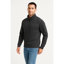 Barlashive Erkek Dik Yaka Yarım Fermuarlı 3 İplik Pamuklu Sweatshirt - Antrasit Çok Renkli