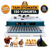 130 Yumurta Kapasiteli Tam Otomatik Kuluçka Makinesi