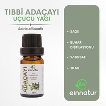 10 ML