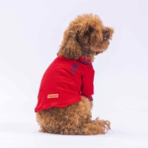 Pawstar Kırmızı Marine Polo Yaka Kedi Köpek Tişörtü
