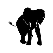 Fil Elephant Sticker Yapıştırma 17Cm