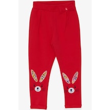 Breeze Kız Bebek Tayt Pantolon Tavşan Nakışlı 9 Ay-3 Yaş, Narçiçeği