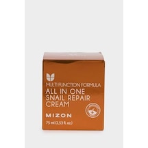 Mizon All In One Snail Repair Cream Salyangoz Özlü Hepsi Bir Arada Bakım Kremi 75 G, G7284axns