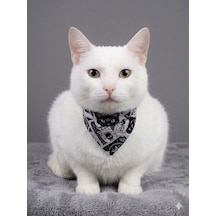 Flypet Kurukafa Desenli Fular Kedi Tasma & Yavru Köpek Tasma 13cm-24cm Ayarlanabilir Tasma