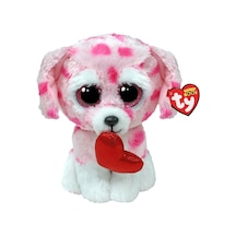 Rory-Dog Val Reg