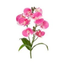 Yapay Çiçek Orkide Gerçek Dokunuş Pembe-sarı 95 Cm Çok Renkli