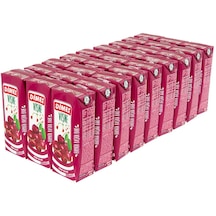 Dimes Vişne Nektarı 200 Ml X 27 Adet