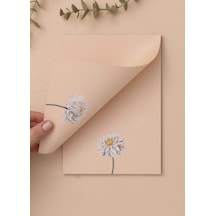 The Mia Art Line Mini Notluk Dahlia 15 X 21 Cm 40 Yaprak