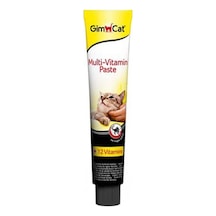 Gimcat Multi Vitamin Paste 12 Vitaminli Kedi Macunu 100 G