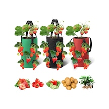 3 Galon Topsy Turvy Domates Ekici, 12 Delikli Asma Çilek Ekici, Nefes Alabilen Çilek Kumaş Sebzeler İçin Çantalar Yetiştirin 3 Paket